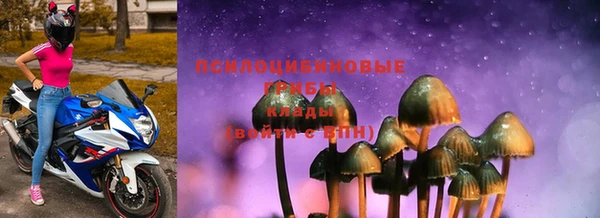 хмурый Кукмор