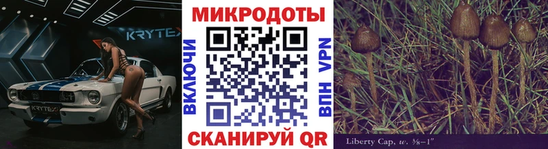 Галлюциногенные грибы Magic Shrooms  Казань 