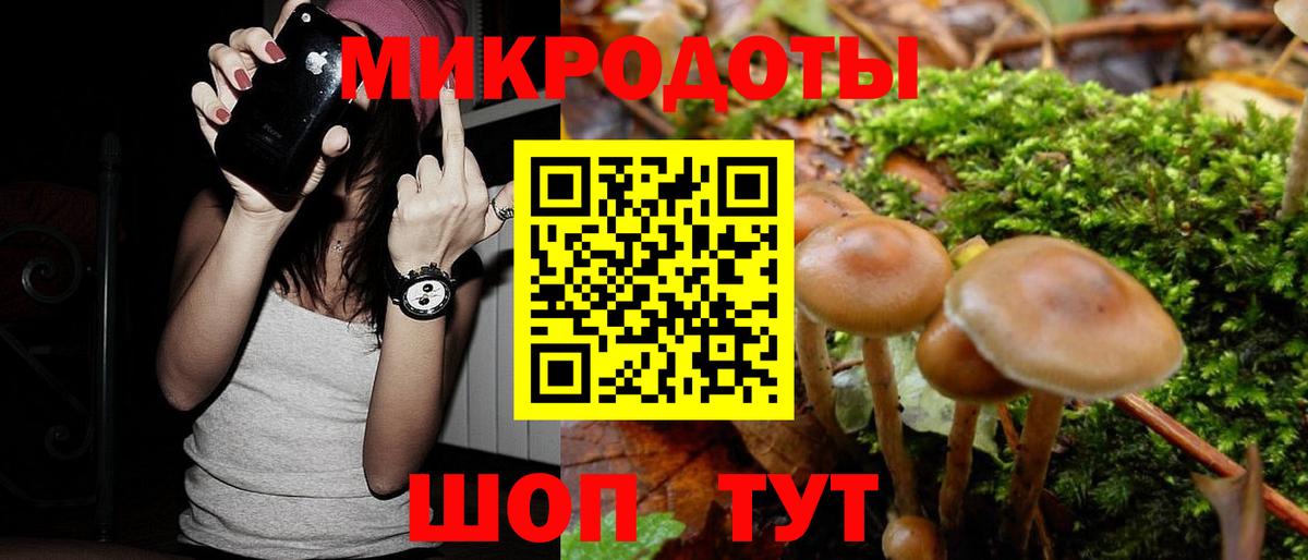 Галлюциногенные грибы ЛСД  Галлюциногенные грибы Psilocybe  Вход с VPN  Казань 
